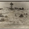 Erosion near Jackson, Mississippi