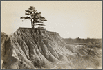 Erosion near Jackson, Mississippi