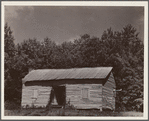 Negro cabin. Hale County, Alabama