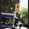 Block 483: Sullivan Street between Prince Street and Spring Street (east side)