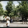 Block 483: Spring Street between Sullivan Street and Thompson Street (north side)