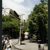 Block 483: Thompson Street between Spring Street and Prince Street (west side)