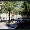 Block 483: Thompson Street between Spring Street and Prince Street (west side)
