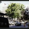 Block 483: Thompson Street between Spring Street and Prince Street (west side)