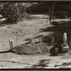 Sharecropper's grave. Hale County, Alabama