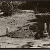 Sharecropper's grave. Hale County, Alabama