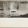 View taken from train between Memphis, Tennessee, and Forrest City, Arkansas, during the flood