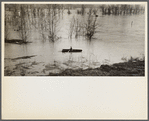 View taken from train between Memphis, Tennessee, and Forrest City, Arkansas, during the flood