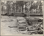 Piles of logs with trucks and workers in the background