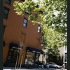 Block 483: Prince Street between Thompson Street and Sullivan Street (south side)