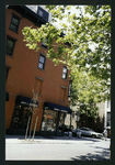 Block 483: Prince Street between Thompson Street and Sullivan Street (south side)