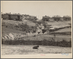 Negro houses, Winston-Salem, North Carolina