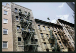 Block 484: Thompson Street between Broome Street and Spring Street (west side)