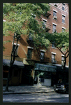 Block 484: Spring Street between Thompson Street and Sullivan Street (south side)