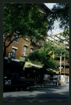 Block 484: Spring Street between Thompson Street and Sullivan Street (south side)