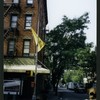 Block 484: Spring Street between Thompson Street and Sullivan Street (south side)