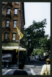 Block 484: Spring Street between Thompson Street and Sullivan Street (south side)