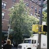 Block 485: Sixth Avenue between Broome Street and Watts Street (east side)