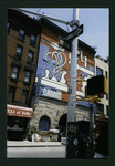 Block 487: Spring Street between Thompson Street and West Broadway (north side)