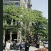 Block 487: Spring Street between Thompson Street and West Broadway (north side)