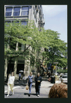 Block 487: Spring Street between Thompson Street and West Broadway (north side)