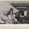 A girl in the camp for white flood refugees, Forrest City, Arkansas