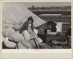 A girl in the camp for white flood refugees, Forrest City, Arkansas