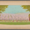 Orchard