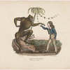 Mazurier, rôle de Joko
