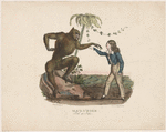 Mazurier, rôle de Joko