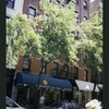 Block 488: Thompson Street between West Houston Street and Prince Street (east side)