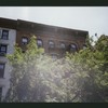 Block 488: Thompson Street between West Houston Street and Prince Street (east side)