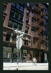 Block 489: Wooster Street between Prince Street and West Houston Street (west side)