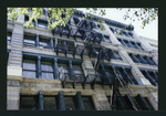 Block 490: Wooster Street between Spring Street and Prince Street (west side)