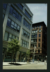 Block 490: Wooster Street between Spring Street and Prince Street (west side)