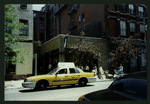 Block 491: West Broadway between Spring Street and Broome Street (east side)
