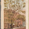 The Varian Tree in Broadway, betw. 26th & 27th Sts. 1864