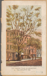 The Varian Tree in Broadway, betw. 26th & 27th Sts. 1864