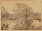 View of river, two boys on shore