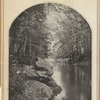 A picturesque fragment on the Bronx River 