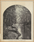 A picturesque fragment on the Bronx River 