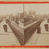 Pedestrians on the Promenade, horse cars, electric streetcars