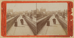Pedestrians on the Promenade, horse cars, electric streetcars