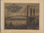 Night view of the New York and Brooklyn Bridge