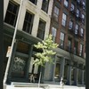 Block 491: Wooster Street between Broome Street and Spring Street (west side)