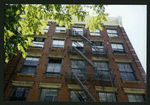 Block 491: Wooster Street between Broome Street and Spring Street (west side)
