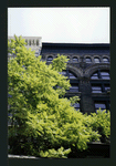 Block 492: Wooster Street between Spring Street and Broome Street (east side)