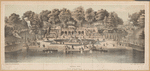 Central Park, the Terrace