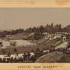 Central Park scenery 