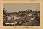 Central Park scenery 